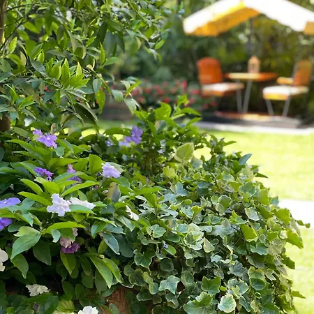 Отель Palmira Kinderfreies 3*