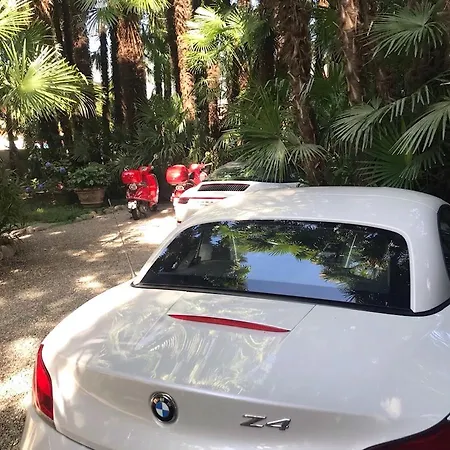 Palmira Kinderfreies 3*