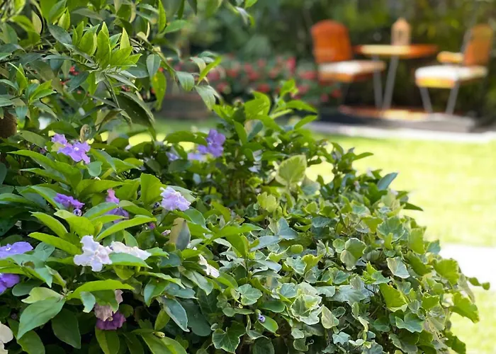 Hotel Palmira Kinderfreies 3*