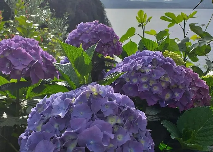 Palmira Kinderfreies 호텔 3*