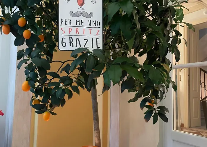 Palmira Kinderfreies 3*